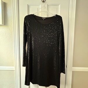 Express Black Sequin Dress